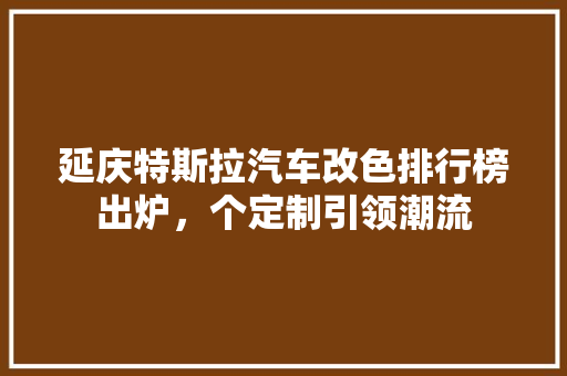延庆特斯拉汽车改色排行榜出炉，个定制引领潮流