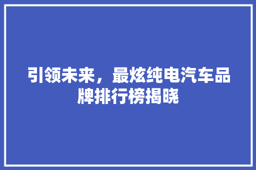 引领未来，最炫纯电汽车品牌排行榜揭晓  第1张
