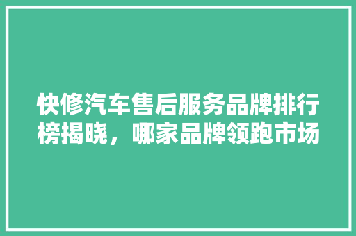 快修汽车售后服务品牌排行榜揭晓，哪家品牌领跑市场