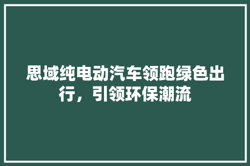 思域纯电动汽车领跑绿色出行，引领环保潮流