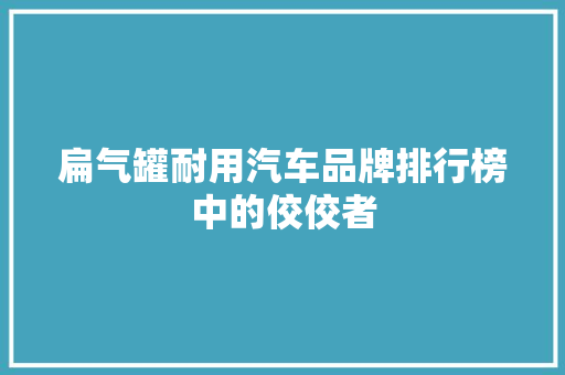 扁气罐耐用汽车品牌排行榜中的佼佼者