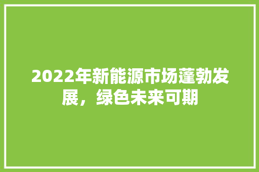 2022年新能源市场蓬勃发展，绿色未来可期