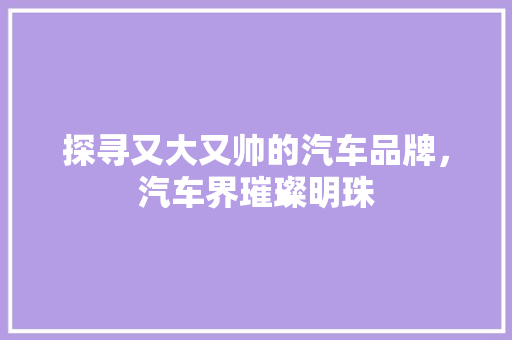 探寻又大又帅的汽车品牌，汽车界璀璨明珠