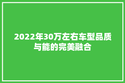 2022年30万左右车型品质与能的完美融合