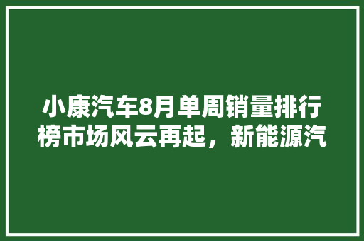 小康汽车8月单周销量排行榜市场风云再起，新能源汽车引领潮流