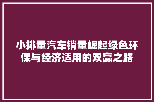 小排量汽车销量崛起绿色环保与经济适用的双赢之路