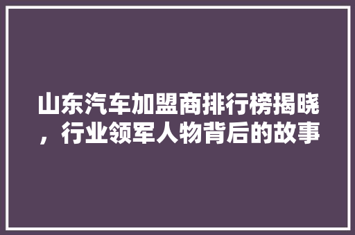 山东汽车加盟商排行榜揭晓，行业领军人物背后的故事
