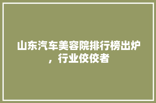 山东汽车美容院排行榜出炉，行业佼佼者