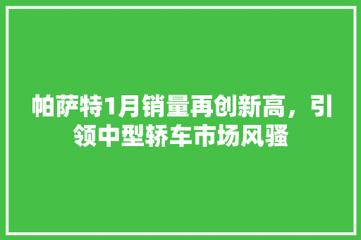 帕萨特1月销量再创新高，引领中型轿车市场风骚