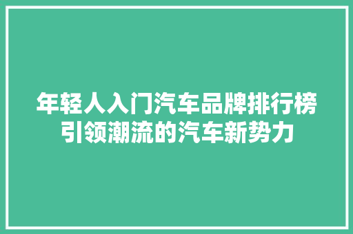 年轻人入门汽车品牌排行榜引领潮流的汽车新势力