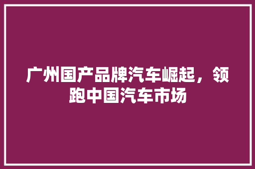 广州国产品牌汽车崛起，领跑中国汽车市场