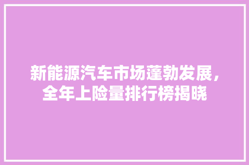 新能源汽车市场蓬勃发展，全年上险量排行榜揭晓  第1张