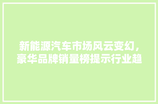 新能源汽车市场风云变幻，豪华品牌销量榜提示行业趋势