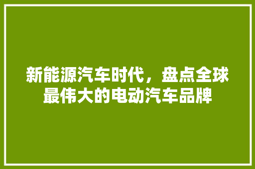 新能源汽车时代，盘点全球最伟大的电动汽车品牌  第1张