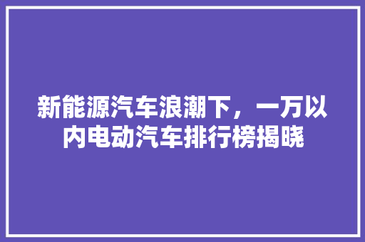 新能源汽车浪潮下，一万以内电动汽车排行榜揭晓  第1张