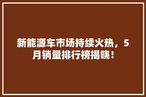 新能源车市场持续火热，5月销量排行榜揭晓！  第1张