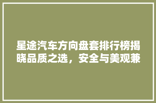 星途汽车方向盘套排行榜揭晓品质之选，安全与美观兼备  第1张