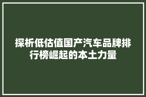 探析低估值国产汽车品牌排行榜崛起的本土力量