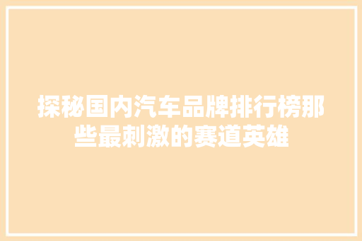 探秘国内汽车品牌排行榜那些最刺激的赛道英雄  第1张