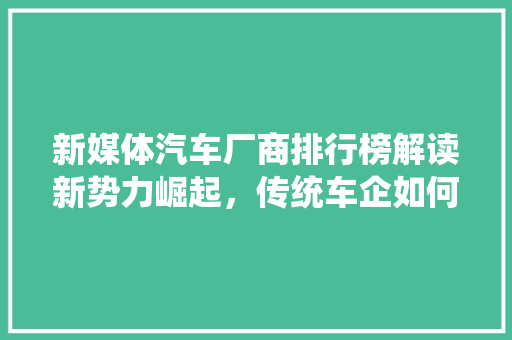 新媒体汽车厂商排行榜解读新势力崛起，传统车企如何应对