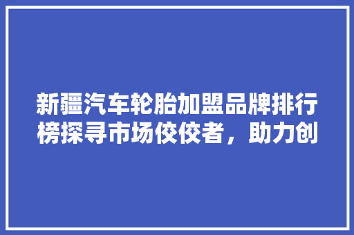 新疆汽车轮胎加盟品牌排行榜探寻市场佼佼者，助力创业梦想起航