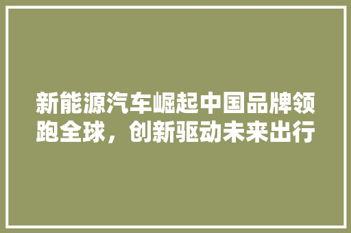 新能源汽车崛起中国品牌领跑全球，创新驱动未来出行  第1张