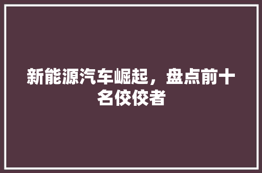 新能源汽车崛起，盘点前十名佼佼者