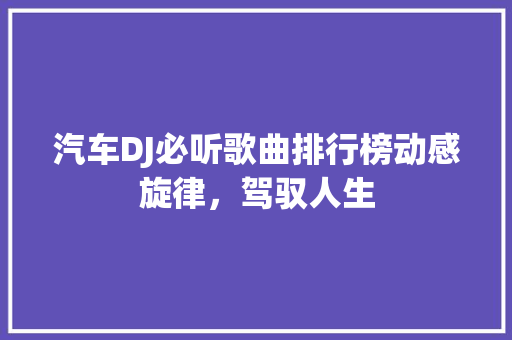 汽车DJ必听歌曲排行榜动感旋律，驾驭人生