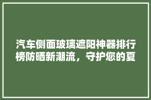 汽车侧面玻璃遮阳神器排行榜防晒新潮流，守护您的夏日时光
