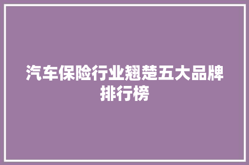 汽车保险行业翘楚五大品牌排行榜