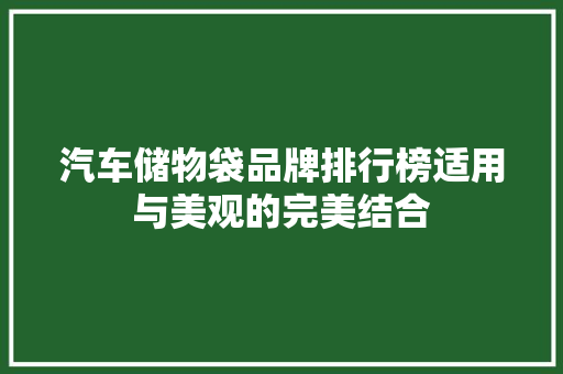 汽车储物袋品牌排行榜适用与美观的完美结合  第1张