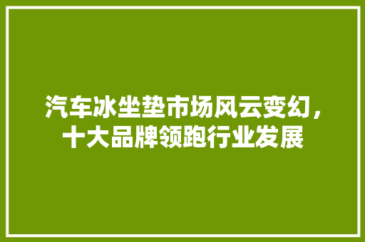 汽车冰坐垫市场风云变幻，十大品牌领跑行业发展
