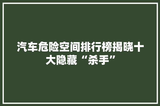 汽车危险空间排行榜揭晓十大隐藏“杀手”  第1张