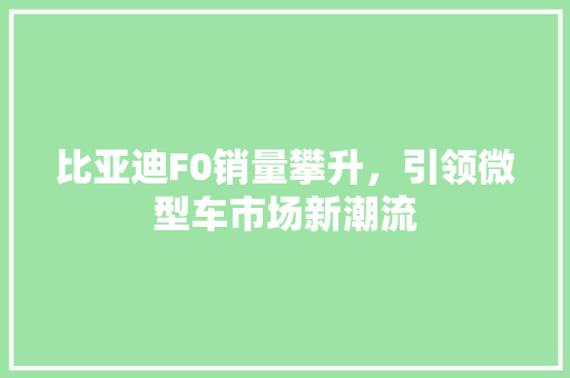 比亚迪F0销量攀升，引领微型车市场新潮流