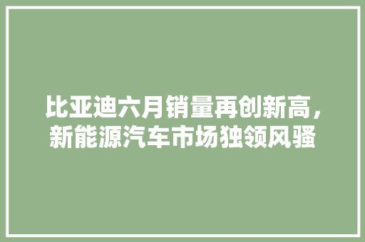 比亚迪六月销量再创新高，新能源汽车市场独领风骚