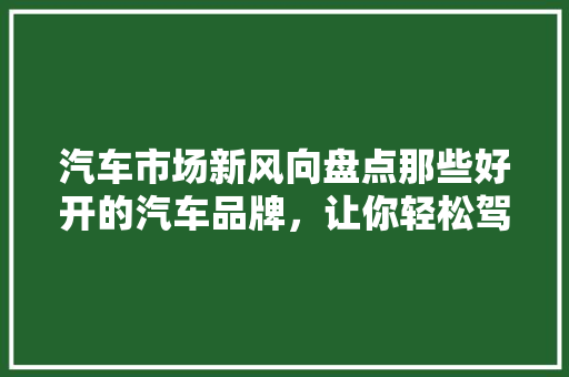 汽车市场新风向盘点那些好开的汽车品牌，让你轻松驾驭生活