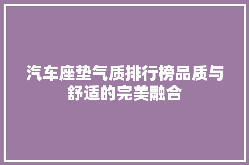 汽车座垫气质排行榜品质与舒适的完美融合