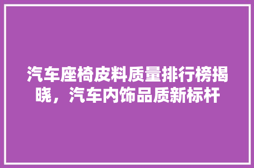 汽车座椅皮料质量排行榜揭晓，汽车内饰品质新标杆