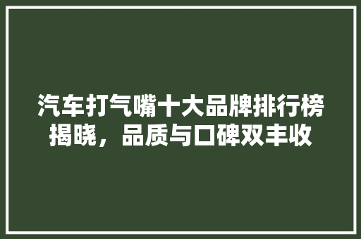 汽车打气嘴十大品牌排行榜揭晓，品质与口碑双丰收