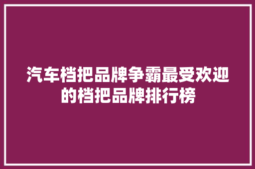 汽车档把品牌争霸最受欢迎的档把品牌排行榜  第1张