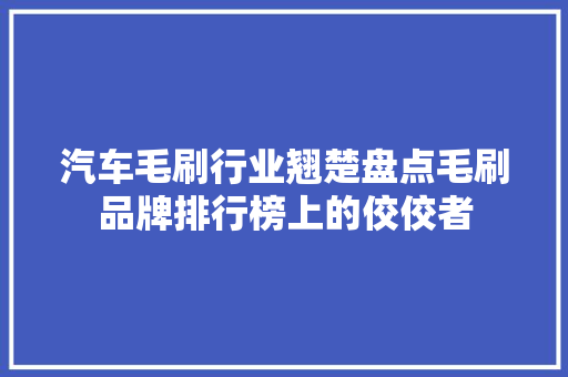 汽车毛刷行业翘楚盘点毛刷品牌排行榜上的佼佼者  第1张
