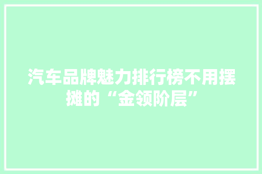 汽车品牌魅力排行榜不用摆摊的“金领阶层”