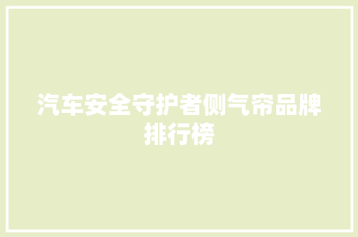 汽车安全守护者侧气帘品牌排行榜  第1张