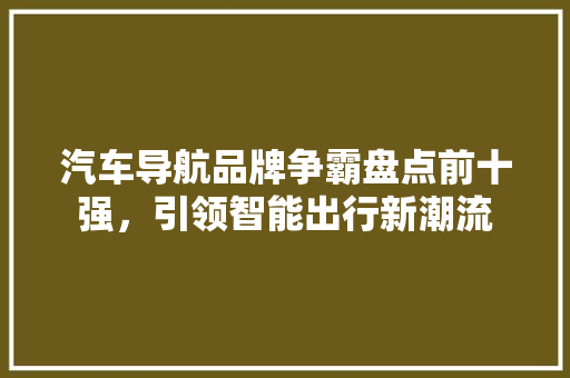汽车导航品牌争霸盘点前十强，引领智能出行新潮流