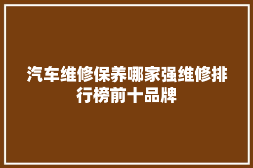 汽车维修保养哪家强维修排行榜前十品牌  第1张