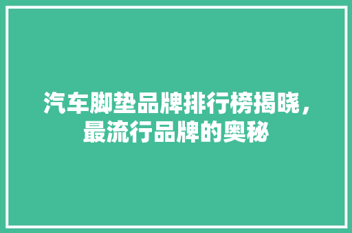 汽车脚垫品牌排行榜揭晓，最流行品牌的奥秘