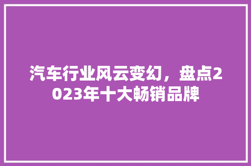 汽车行业风云变幻，盘点2023年十大畅销品牌  第1张