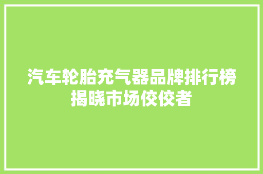 汽车轮胎充气器品牌排行榜揭晓市场佼佼者