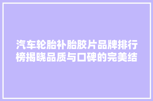 汽车轮胎补胎胶片品牌排行榜揭晓品质与口碑的完美结合  第1张