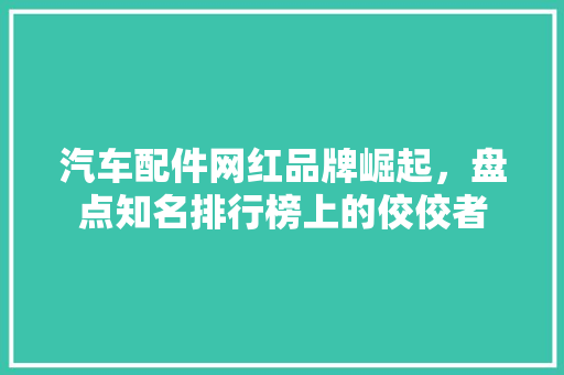 汽车配件网红品牌崛起，盘点知名排行榜上的佼佼者
